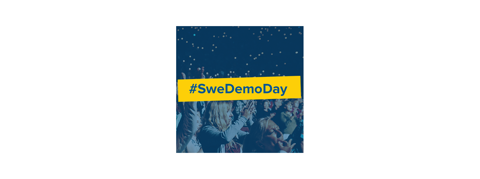 Sweden Demo Day 2017