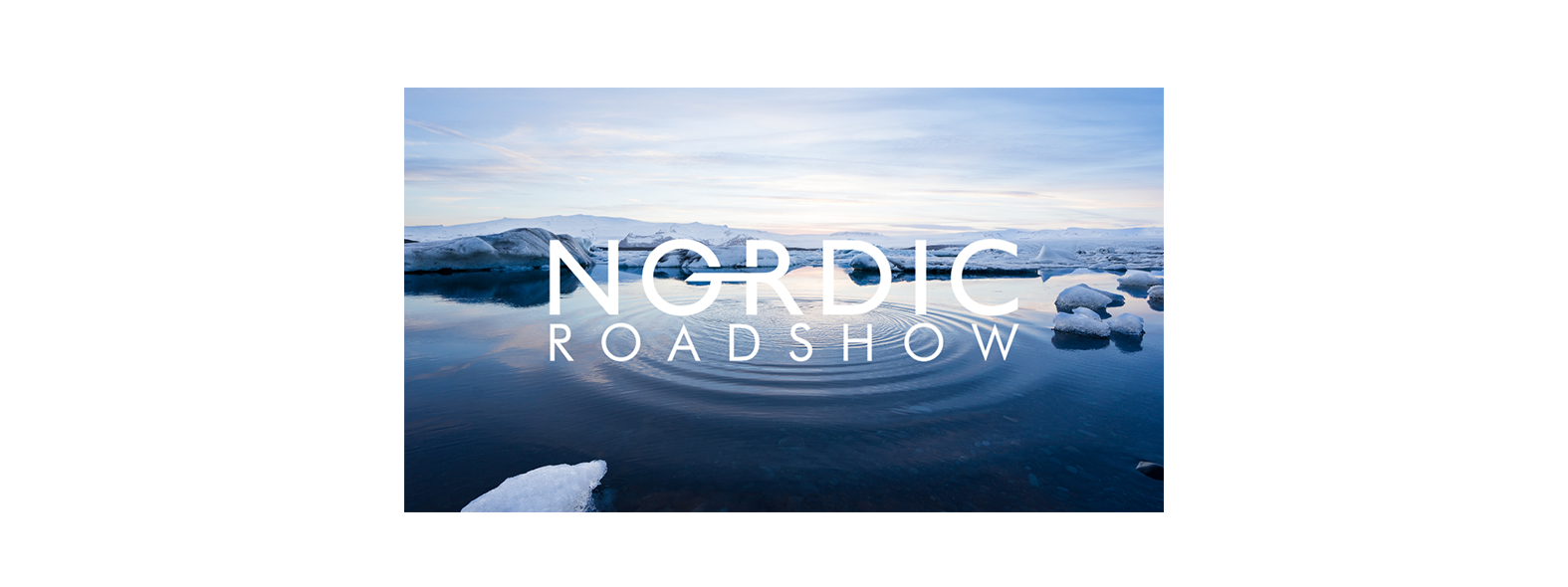 Nordic Roadshow 2018 Participation