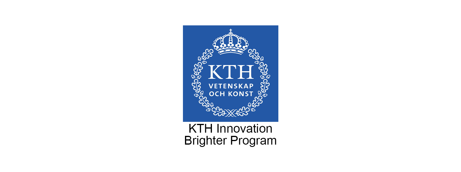 InnoBrain™ participates at the KTH Innovation Brighter Program